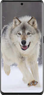 Силиконовый чехол Бегущий волк для Oppo Find X6 Pro - 826u-3041 изображение 