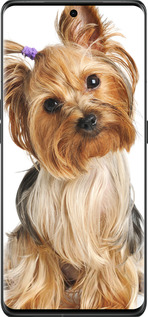 Силиконовый чехол Йоркширский терьер с хвостиком для Oppo Find X6 Pro - 930u-3041 изображение 
