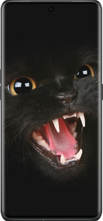 Силиконовый чехол Чёрная кошка для Oppo Find X6 Pro - 932u-3041 изображение 