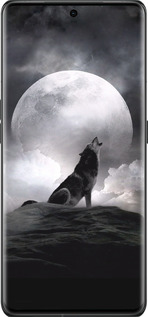 Силиконовый чехол Воющий волк для Oppo Find X6 Pro - 934u-3041 изображение 