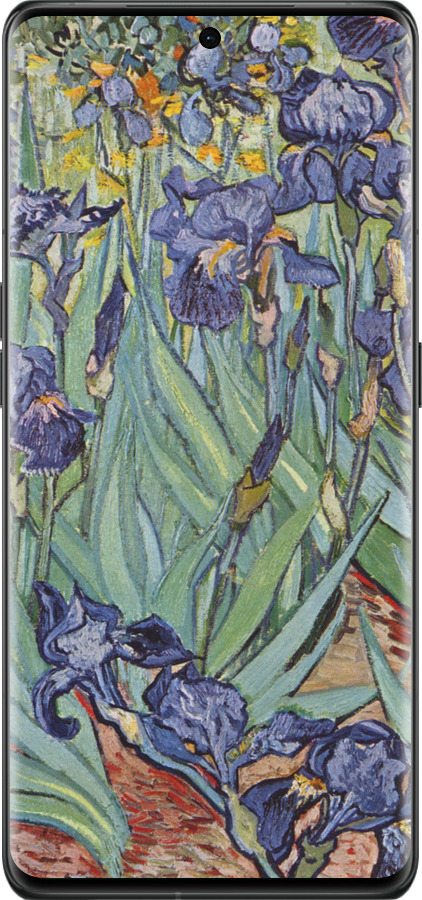 Силиконовый чехол Винсент Ван Гог. Ирисы для Oppo Find X6 Pro - 161u-3041 изображение 