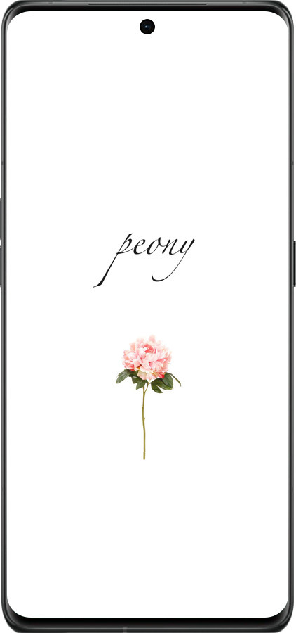 Силиконовый чехол Пион для Oppo Find X6 Pro - 4366u-3041 изображение 