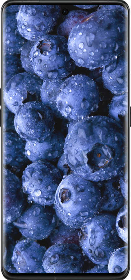 Силиконовый чехол Голубика для Oppo Find X6 Pro - 4459u-3041 изображение 