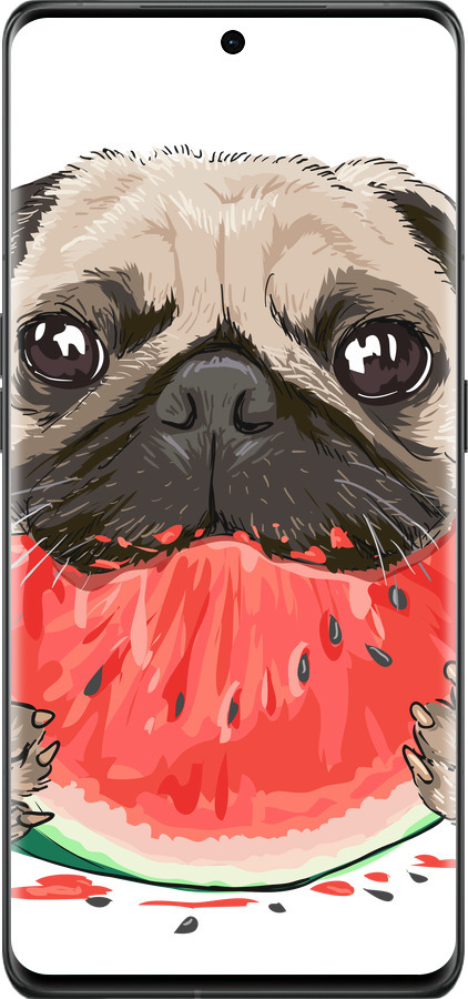 Силиконовый чехол Мопс и арбуз для Oppo Find X6 Pro - 4665u-3041 изображение 