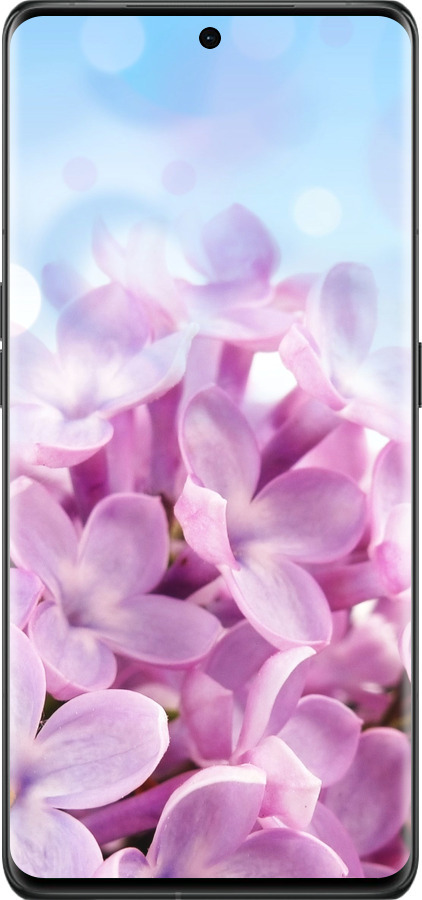 Силиконовый чехол Сирень для Oppo Find X6 Pro - 527u-3041 изображение 