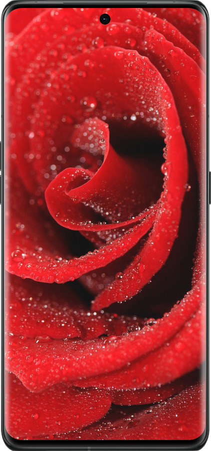 Силиконовый чехол Красная роза для Oppo Find X6 Pro - 529u-3041 изображение 