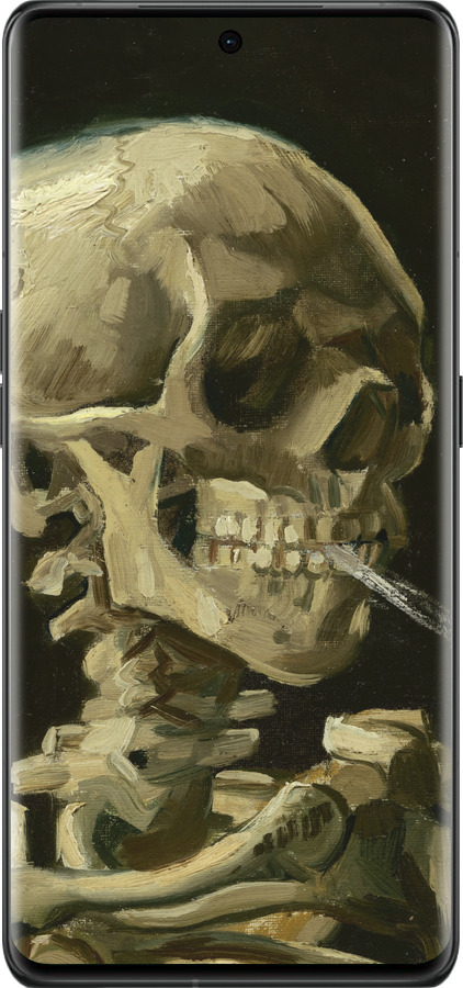 Силиконовый чехол Винсент Ван Гог. Череп для Oppo Find X6 Pro - 5544u-3041 изображение 