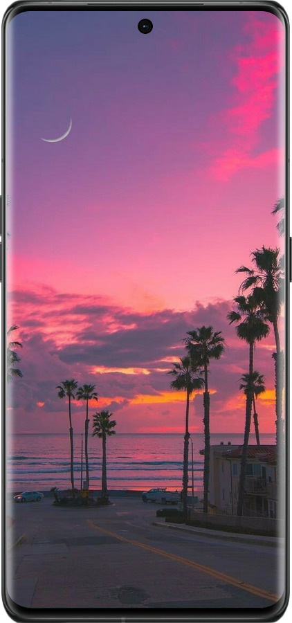 Силиконовый чехол Пальмы для Oppo Find X6 Pro - 5873u-3041 изображение 