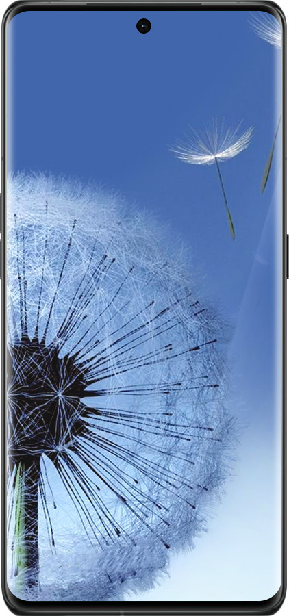 Силиконовый чехол Одуванчик для Oppo Find X6 Pro - 6005u-3041 изображение 