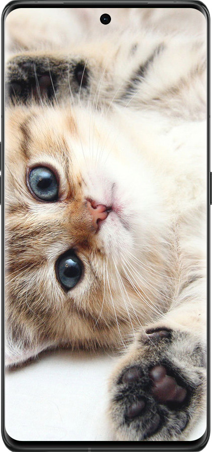 Силиконовый чехол Котик для Oppo Find X6 Pro - 6024u-3041 изображение 