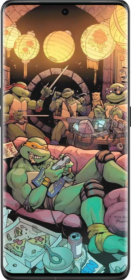 Силиконовый чехол Черепашки нинзя для Oppo Find X6 Pro - 6346u-3041 изображение 