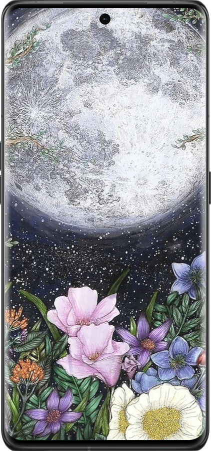 Силиконовый чехол Полночь в саду II для Oppo Find X6 Pro - 6424u-3041 изображение 