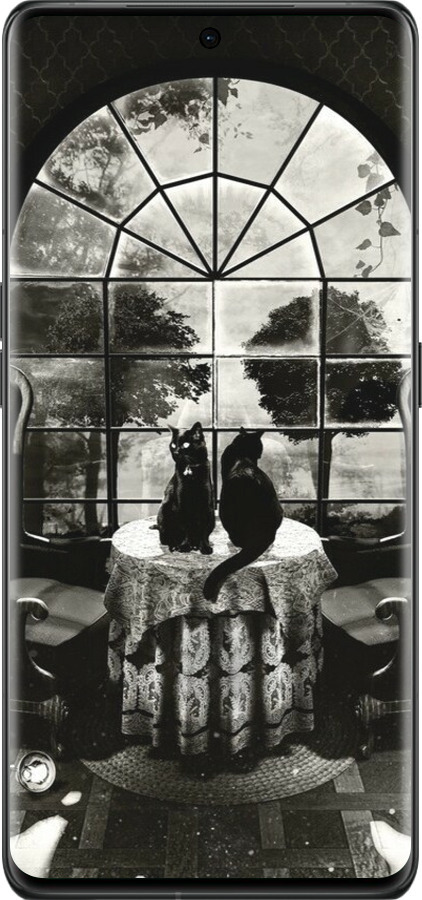 Силиконовый чехол Череп и коты для Oppo Find X6 Pro - 6432u-3041 изображение 