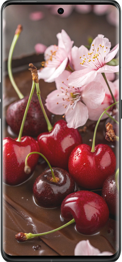 Силиконовый чехол Вишня в шоколаде для Oppo Find X6 Pro - 6698u-3041 изображение 