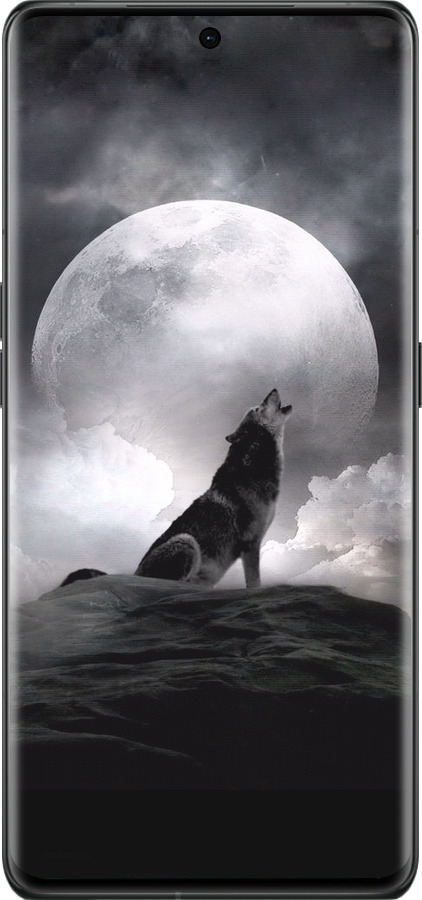 Силиконовый чехол Воющий волк для Oppo Find X6 Pro - 934u-3041 изображение 