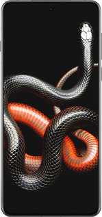 Силіконовий чехол Червоно-чорна змія на чорному фоні для Oppo Find X8 Pro - 4063u-3872 изображение 