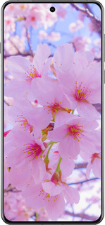 Силиконовый чехол Сакура для Oppo Find X8 Pro - 6029u-3872 изображение 