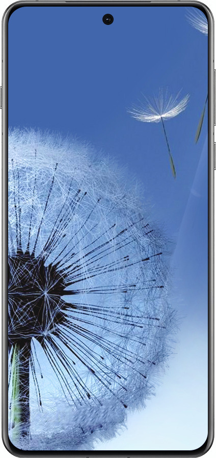 Силиконовый чехол Одуванчик для Oppo Find X8 Pro - 6005u-3872 изображение 
