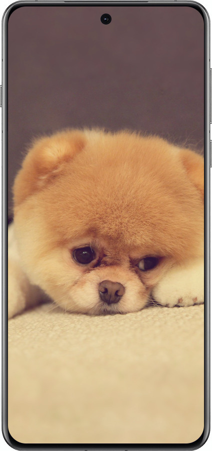 Силиконовый чехол Boo 2 для Oppo Find X8 Pro - 890u-3872 изображение 