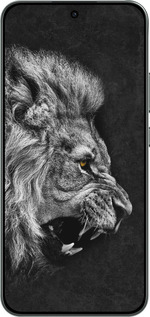 Силиконовый чехол Лев для Oppo RENO 14F 5G - 1080u-4091 изображение 