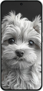 Силиконовый чехол Мальтипу на чорном фоне для Oppo RENO 14F 5G - 6156u-4091 изображение 