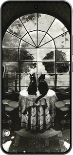 Силиконовый чехол Череп и коты для Oppo RENO 14F 5G - 6432u-4091 изображение 