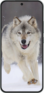 Силиконовый чехол Бегущий волк для Oppo RENO 14F 5G - 826u-4091 изображение 