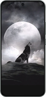 Силиконовый чехол Воющий волк для Oppo RENO 14F 5G - 934u-4091 изображение 