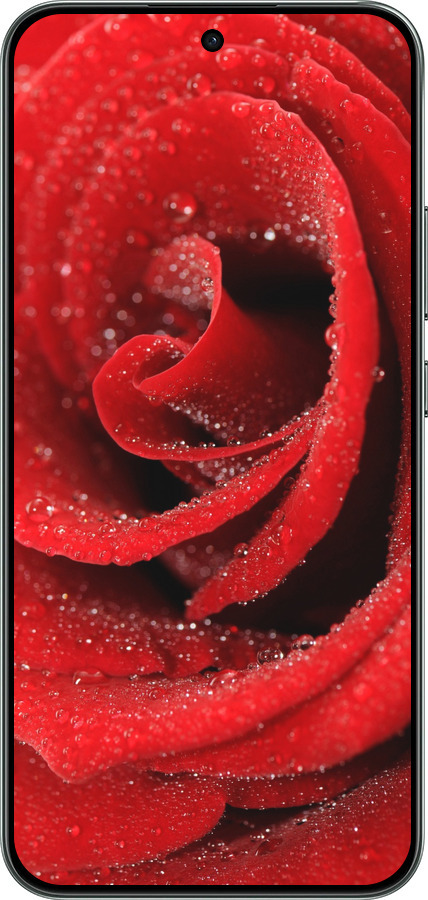 Силиконовый чехол Красная роза для Oppo RENO 14F 5G - 529u-4091 изображение 