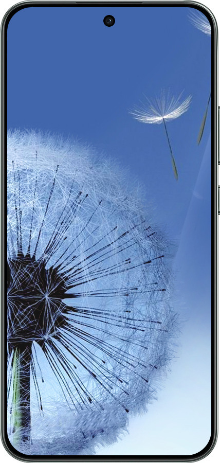 Силиконовый чехол Одуванчик для Oppo RENO 14F 5G - 6005u-4091 изображение 