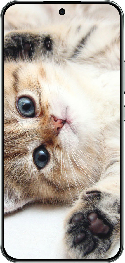 Силиконовый чехол Котик для Oppo RENO 14F 5G - 6024u-4091 изображение 