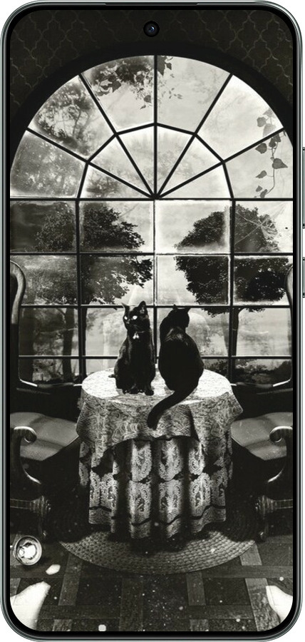 Силиконовый чехол Череп и коты для Oppo RENO 14F 5G - 6432u-4091 изображение 