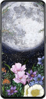 TPU чехол Північ у саду II для Oppo Reno 2 - 6424b-1864 изображение 
