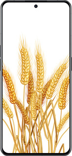 Силіконовий чехол Колоски пшениці для Oppo Reno8 Pro 5G - 5866u-2615 изображение 