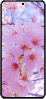 Силіконовий чехол Сакура для Oppo Reno8 Pro 5G - 6029u-2615 изображение 