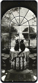 Силиконовый чехол Череп и коты для Oppo Reno8 Pro 5G - 6432u-2615 изображение 