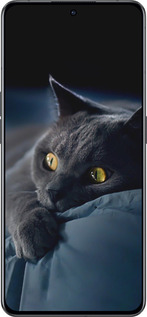 Силіконовий чехол Димчастий кіт для Oppo Reno8 Pro 5G - 825u-2615 изображение 