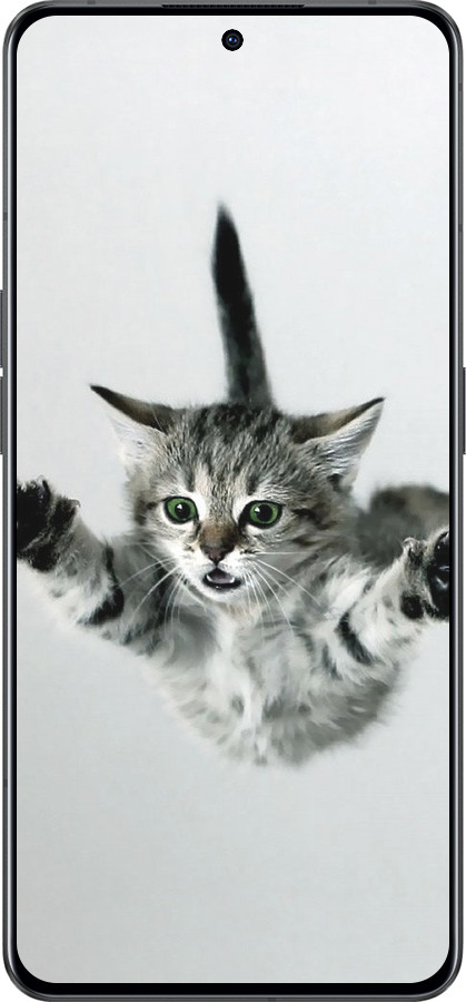 Силиконовый чехол Летящий котёнок для Oppo Reno8 Pro 5G - 2322u-2615 изображение 