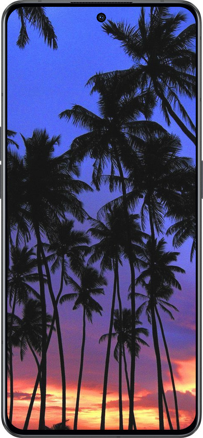 Силіконовий чехол Пальми для Oppo Reno8 Pro 5G - 4324u-2615 изображение 