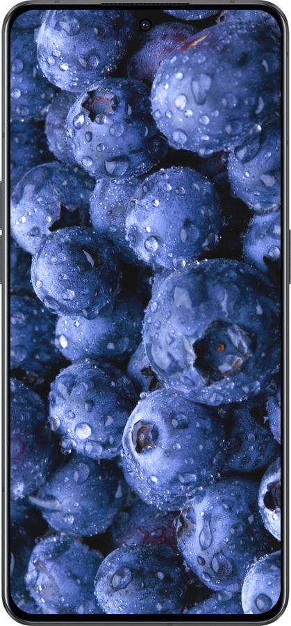 Силиконовый чехол Голубика для Oppo Reno8 Pro 5G - 4459u-2615 изображение 