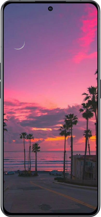 Силиконовый чехол Пальмы для Oppo Reno8 Pro 5G - 5873u-2615 изображение 