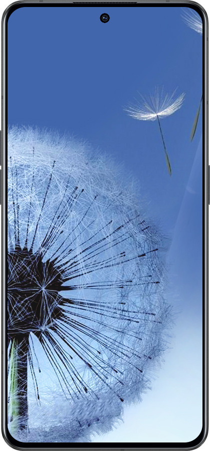 Силиконовый чехол Одуванчик для Oppo Reno8 Pro 5G - 6005u-2615 изображение 