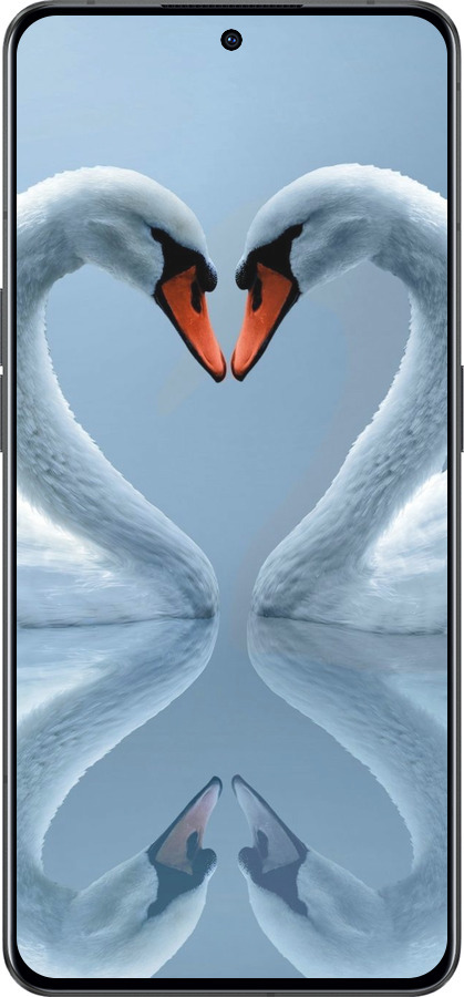 Силиконовый чехол Лебеди для Oppo Reno8 Pro 5G - 6007u-2615 изображение 