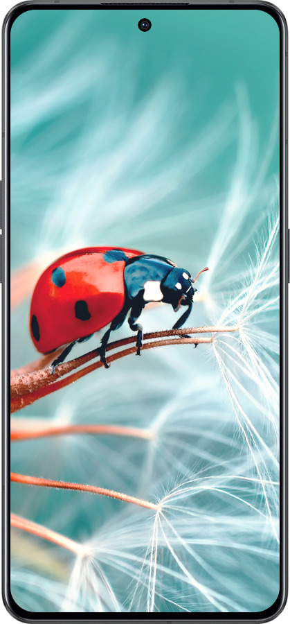 Силиконовый чехол Божья коровка для Oppo Reno8 Pro 5G - 6049u-2615 изображение 