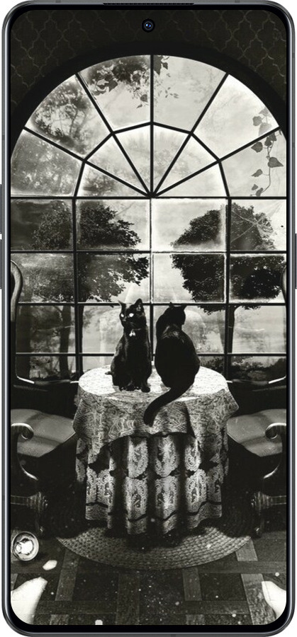 Силиконовый чехол Череп и коты для Oppo Reno8 Pro 5G - 6432u-2615 изображение 