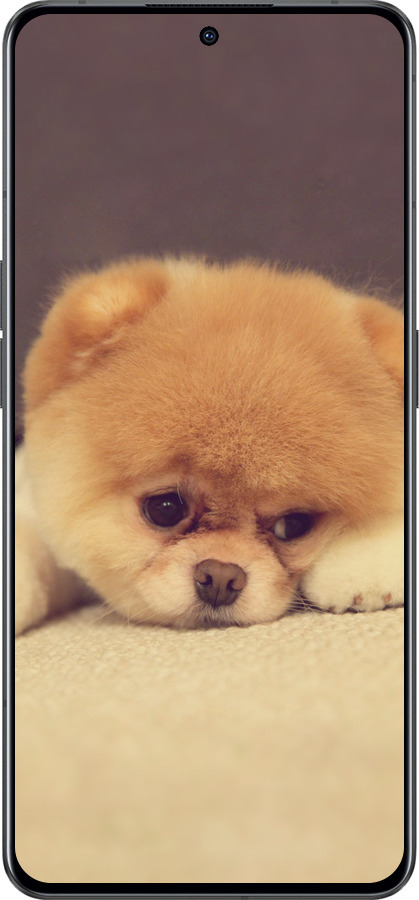 Силіконовий чехол Boo 2 для Oppo Reno8 Pro 5G - 890u-2615 изображение 