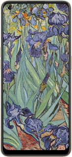 Силиконовый чехол Винсент Ван Гог. Ирисы для Oppo Reno8 5G - 161u-2614 изображение 
