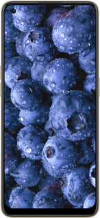 Силиконовый чехол Голубика для Oppo Reno8 5G - 4459u-2614 изображение 