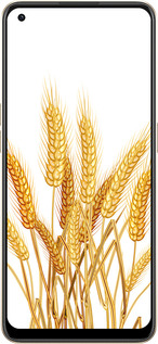 Силиконовый чехол Колоски пшеници для Oppo Reno8 5G - 5866u-2614 изображение 