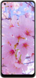 Силиконовый чехол Сакура для Oppo Reno8 5G - 6029u-2614 изображение 